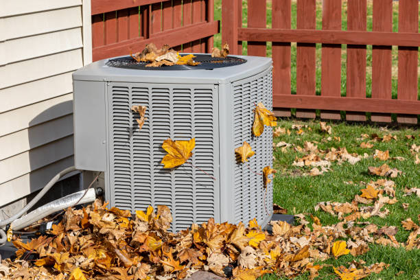 Ductless HVAC repair in Williamsburg, FL