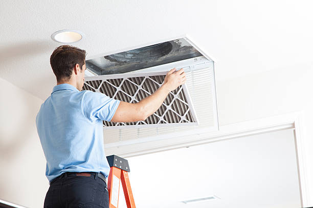Best HVAC maintenance near me  in Williamsburg, FL